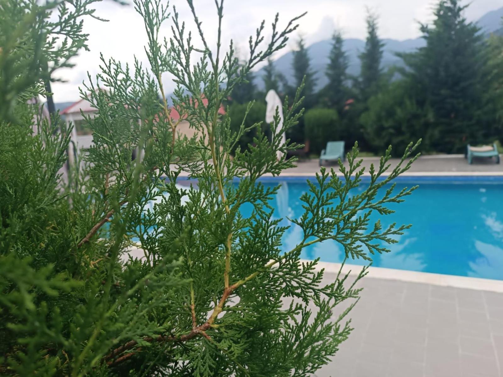 Gabala Bliss Inn Hotel And Restaurant Eksteriør billede