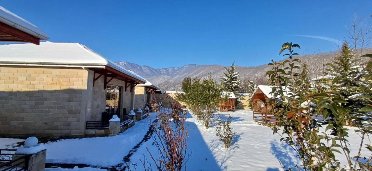 Gabala Bliss Inn Hotel And Restaurant Eksteriør billede